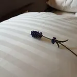 Enklava Apartmán *