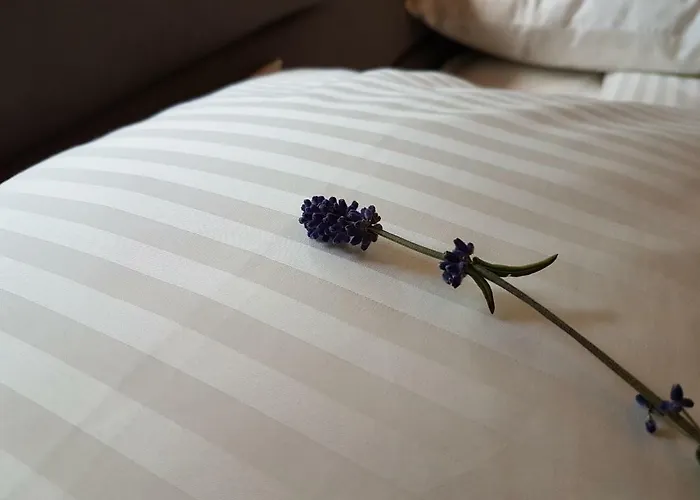 Enklava Apartament *